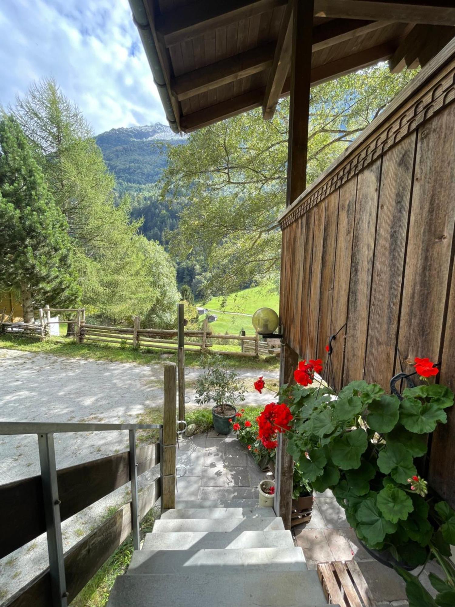 Hotel Superior Doppelzimmer Im Chalet Milital Innertkirchen Exteriér fotografie